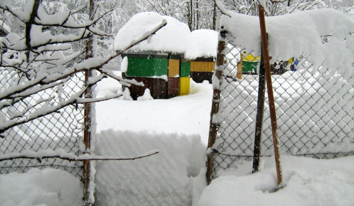 Snehová kalamita 2013